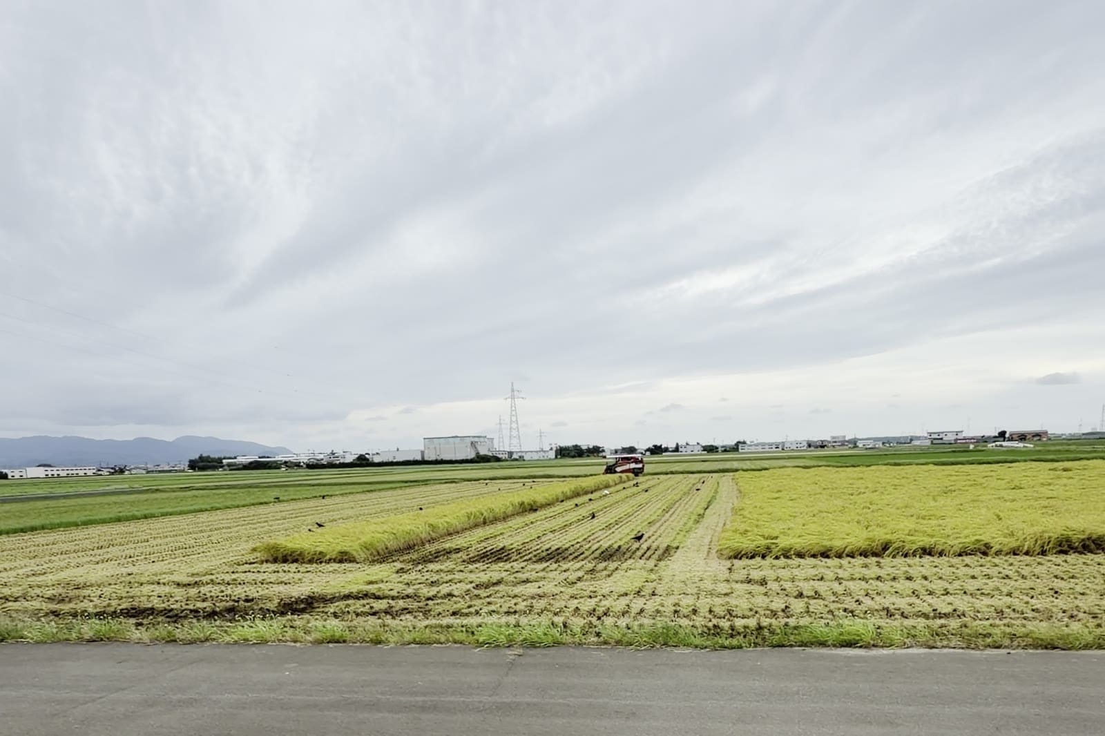 福井県坂井市本田さんのお米